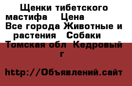 Щенки тибетского мастифа. › Цена ­ 30 000 - Все города Животные и растения » Собаки   . Томская обл.,Кедровый г.